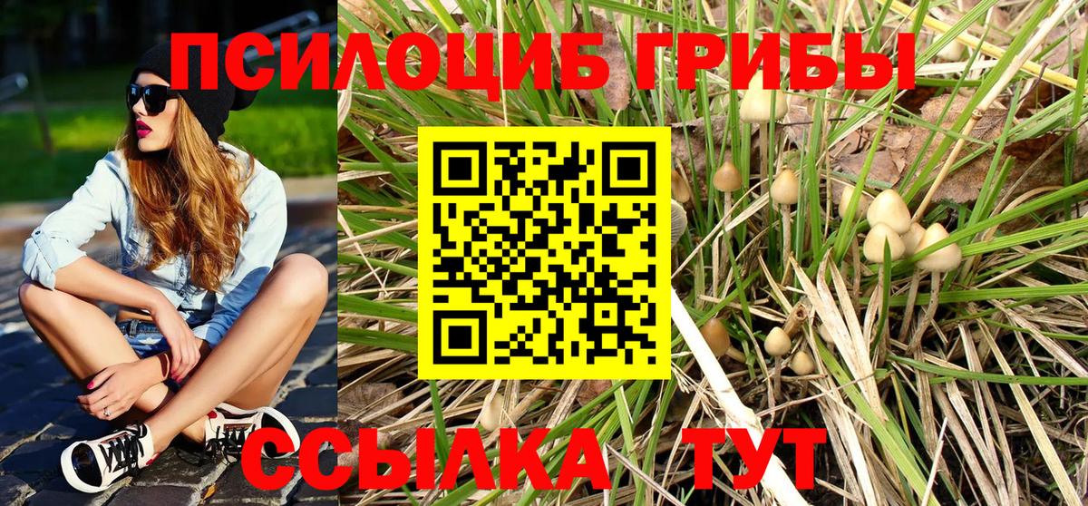 Псилоцибиновые грибы Psilocybine cubensis Ульяновск